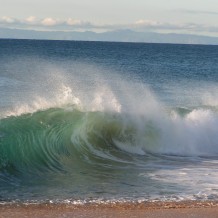 Catch The Wave