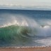 Catch The Wave