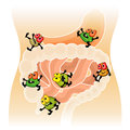 Gut Bugs and Extra Pounds? Seriously?!