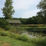 Lily Pond and Bridge